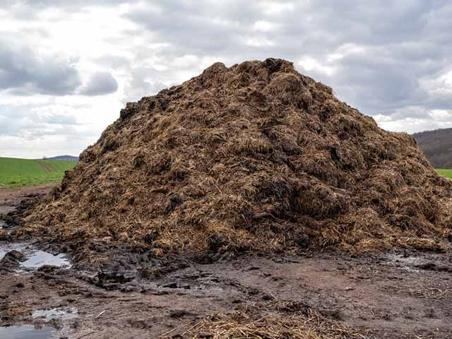 Organic-fertilizer-raw-materials